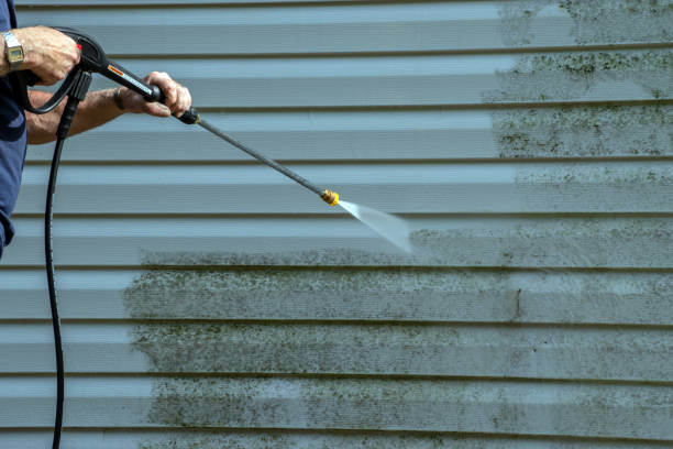 Best Graffiti Removal  in Wintersville, OH